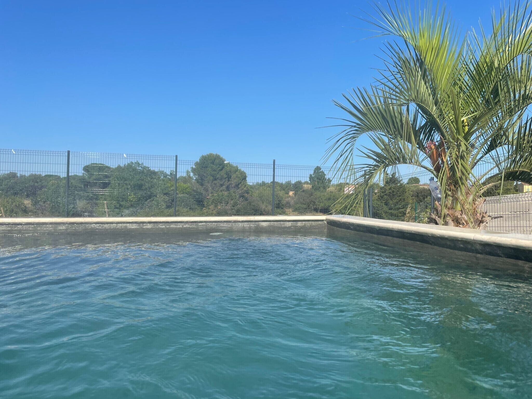 Une piscine à l’eau d’un bleu limpide, bordée d’un muret en béton et entourée d’une clôture métallique.