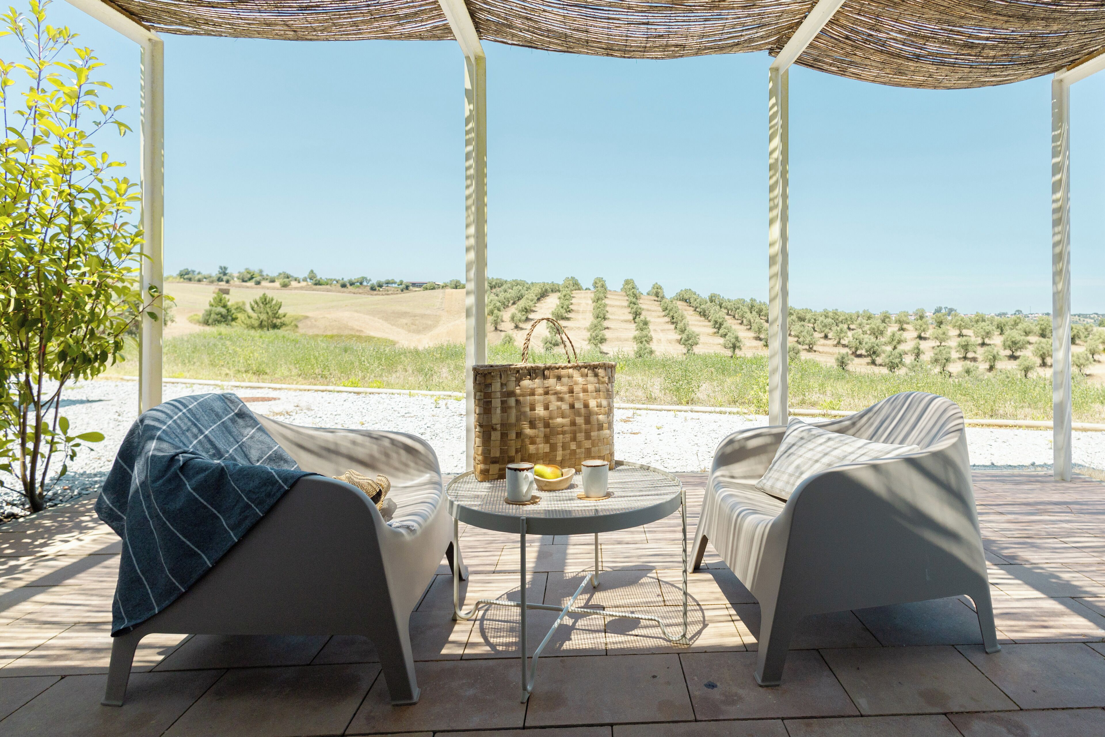 Suite familiar | Terraza o patio