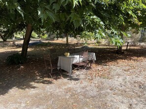 Un espace extérieur aménagé pour prendre les repas, avec une table et des chaises placées sous un arbre.