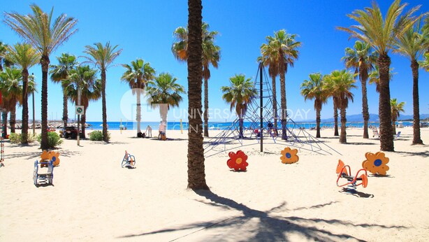 Une plage bordée de palmiers, avec des chaises longues et une aire de jeux.