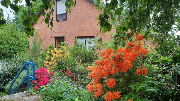 En have med forskellige farverige blomster og en blå bygning.