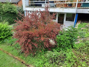 Exterior detail - Recovery from stress (Hann. Münden)
