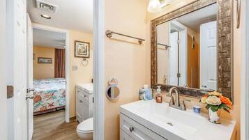 Combined shower/tub, hair dryer, towels, shampoo