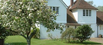 Pretty cottage with direct access to The New Forest
