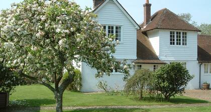 Pretty cottage with direct access to The New Forest