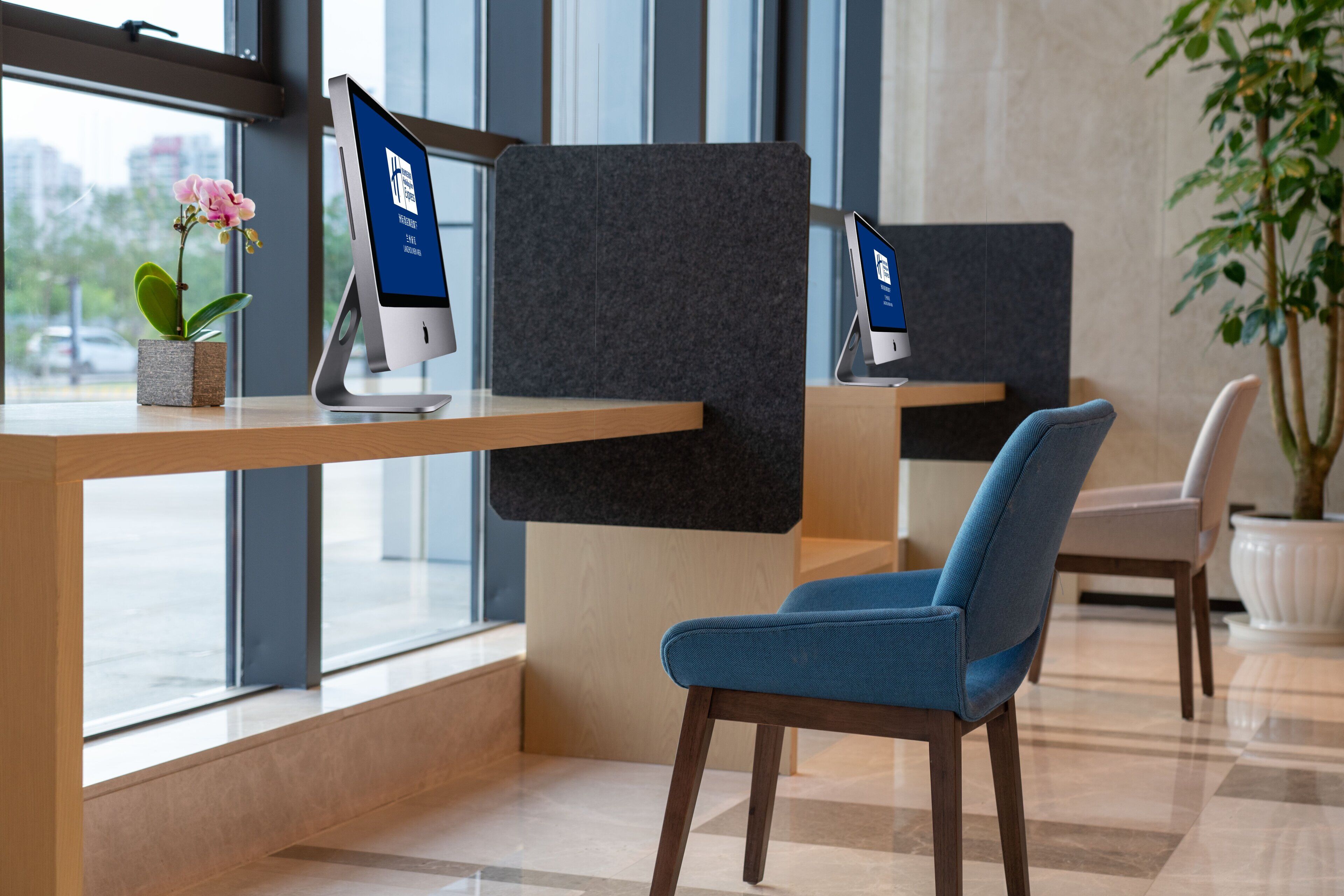 A modern office space with two iMac computers on stands, a blue upholstered chair, and a potted plant.
