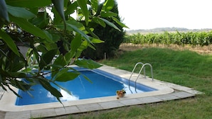 A swimming pool with a small dog, surrounded by grass and trees. - Villa "Masia Can Comas" with Pool, Garden & Wi-Fi (Torrelavit)