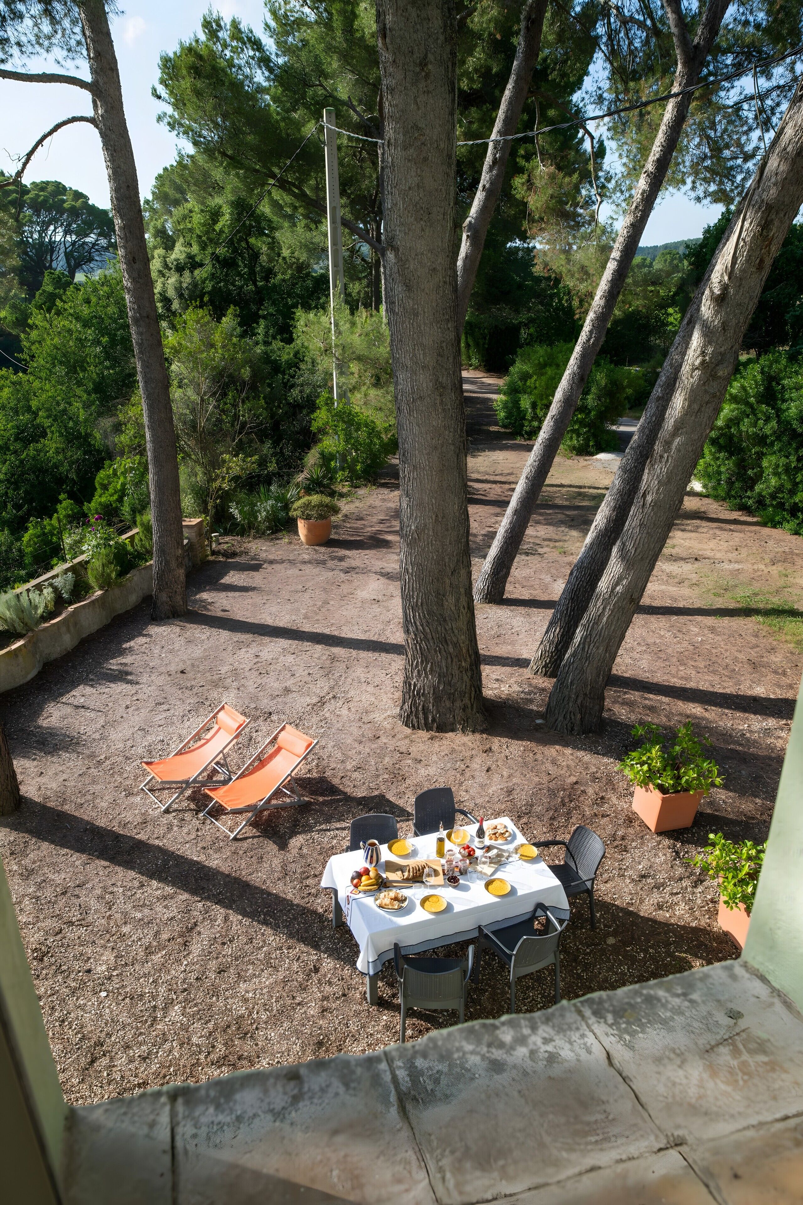 Un espace de restauration en plein air, avec une table dressée pour un repas, entouré d’arbres et de plantes en pot.