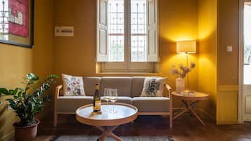 TV, fireplace, DVD player