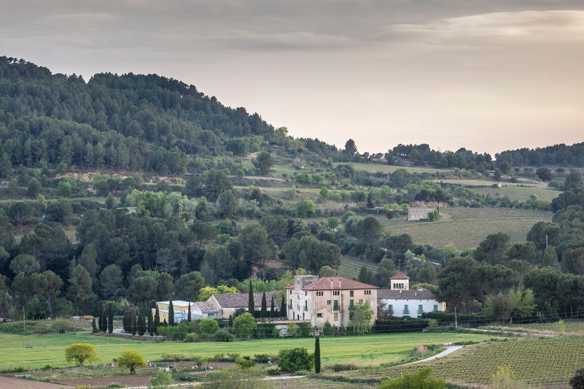Paisaje rural con una construcción grande rodeada de campos y árboles.