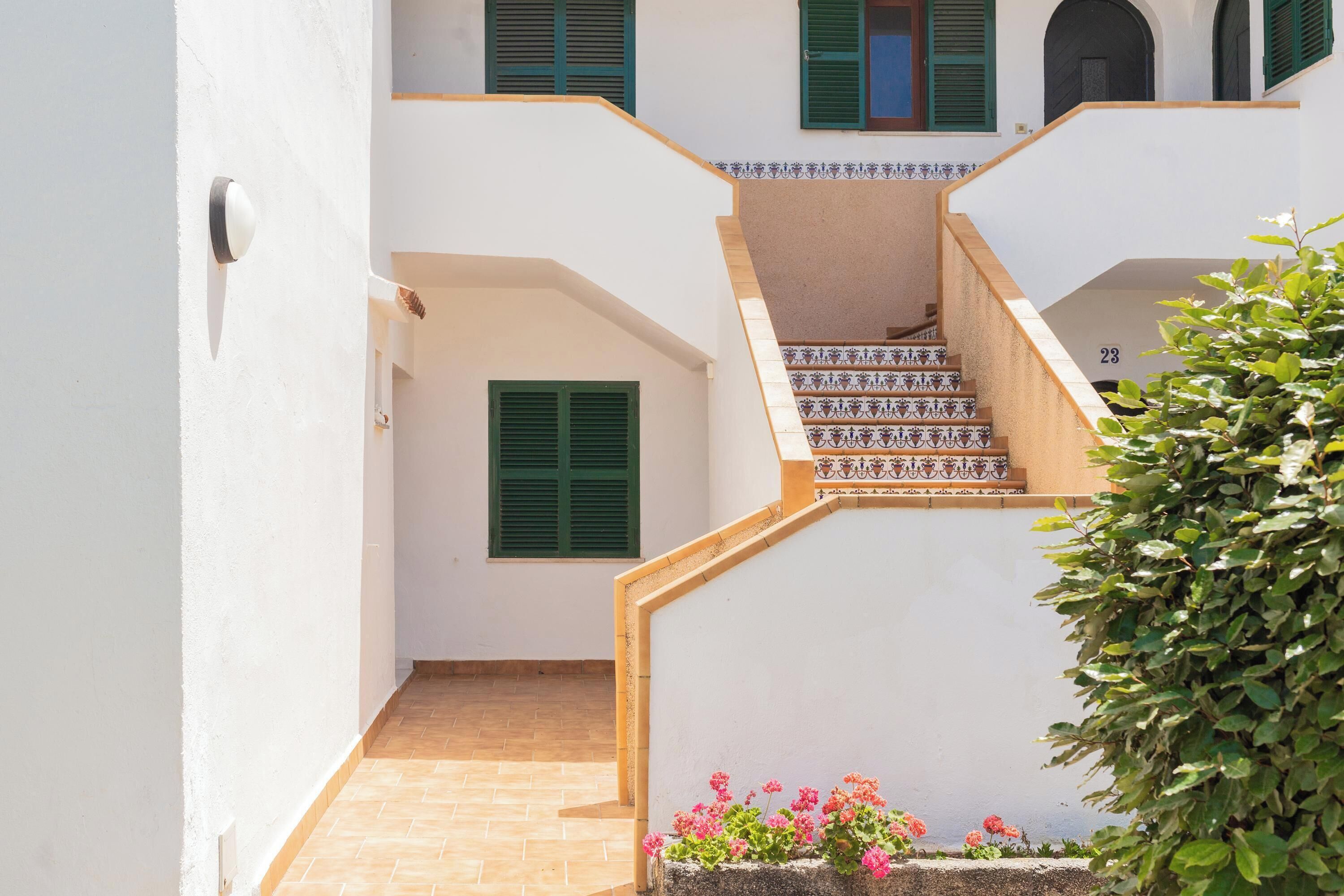 Detalle del exterior