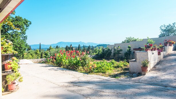 Un camí empedrat que condueix a un edifici amb una zona de jardí que presenta plantes i flors en testos.