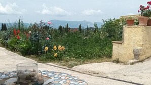Un jardí amb una varietat de plantes i flors, una taula enrajolada i una vista a muntanyes llunyanes.