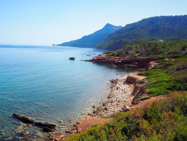 Playa en los alrededores 