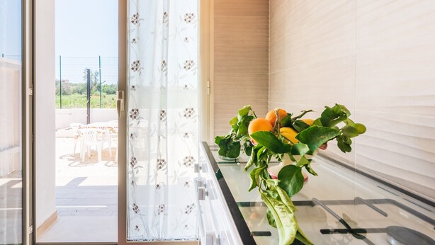 Une cuisine moderne avec une porte vitrée donnant sur un patio extérieur, une plante portant des fruits et une vue sur l’extérieur.