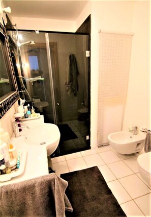 Shower, rainfall showerhead, hair dryer, bidet
