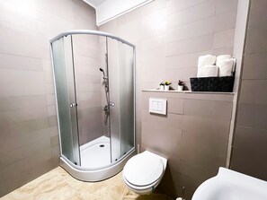 Shower, hair dryer, towels, toilet paper