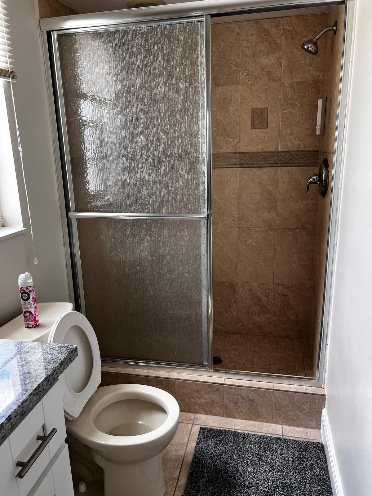 Ein Badezimmer mit Dusche, Toilette und einer Handseife auf dem Ablagestell.