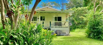 Sunset Suzy's tropical retreat! One free night! After 7 nights. 