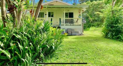 Pysy 6 yötä, saat 7. yö ilmaiseksi!