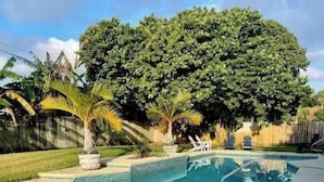 A swimming pool with a tiled deck, surrounded by a grassy lawn and palm trees. - ~ Private Beach Access! ~ East A1A ~~ Sun, Sea, Pool, Relax!  (Vero Beach)