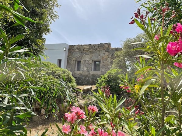 A stone building with a small window, surrounded by lush greenery and pink flowers.