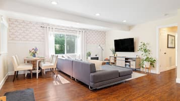 Smart TV, fireplace, books