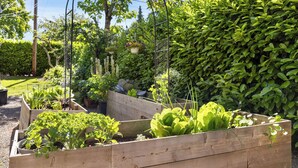 A garden with raised wooden beds containing various plants and flowers. - LAUREL HOUSE : A Quiet Oasis in NE Portland (Portland)
