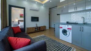 A modern living room with a grey sofa, red cushions, and a flat-screen TV. Adjacent is a compact kitchen with grey cabinets, a washing machine, and a tiled backsplash. - Tanrise City House (Fethiye)