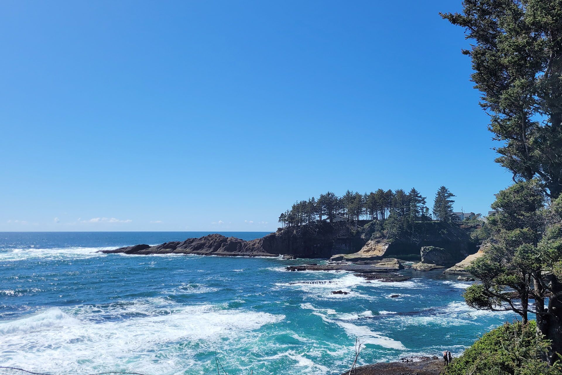 Ocean Front Condo! Spectacular Ocean Views!  Walk to Everything!