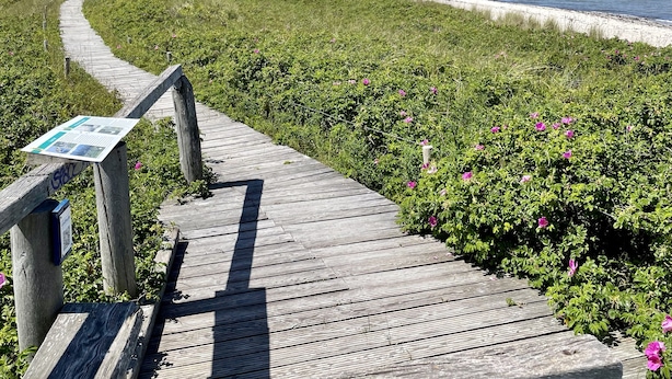 Puinen kävelysilta, joka johtaa rannalle, ja sen varrella on opastekyltti.