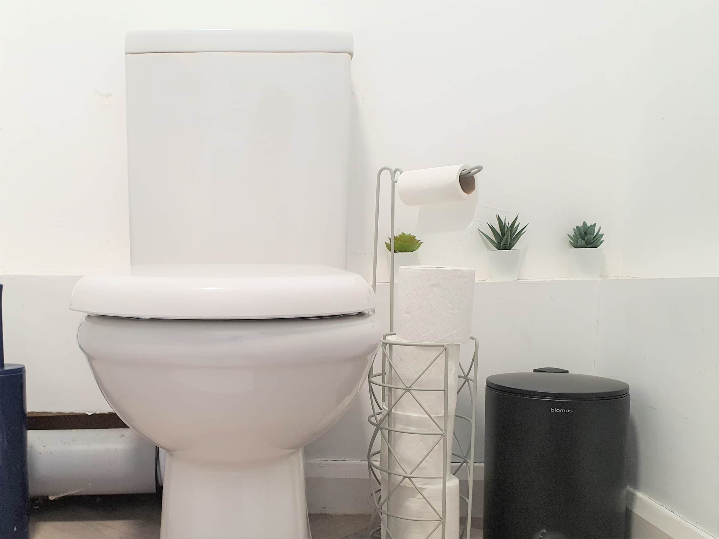 A toilet with a white tank and lid, a toilet paper holder with a roll, and a black trash bin labeled 'blomus'.