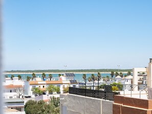 Vista desde la propiedad
