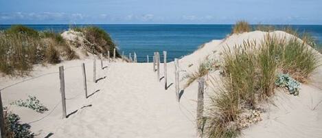 Chaises longues