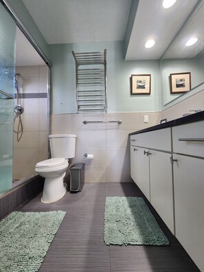 Combined shower/bathtub, hair dryer, towels, soap