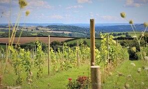 平房 | 住宿內部