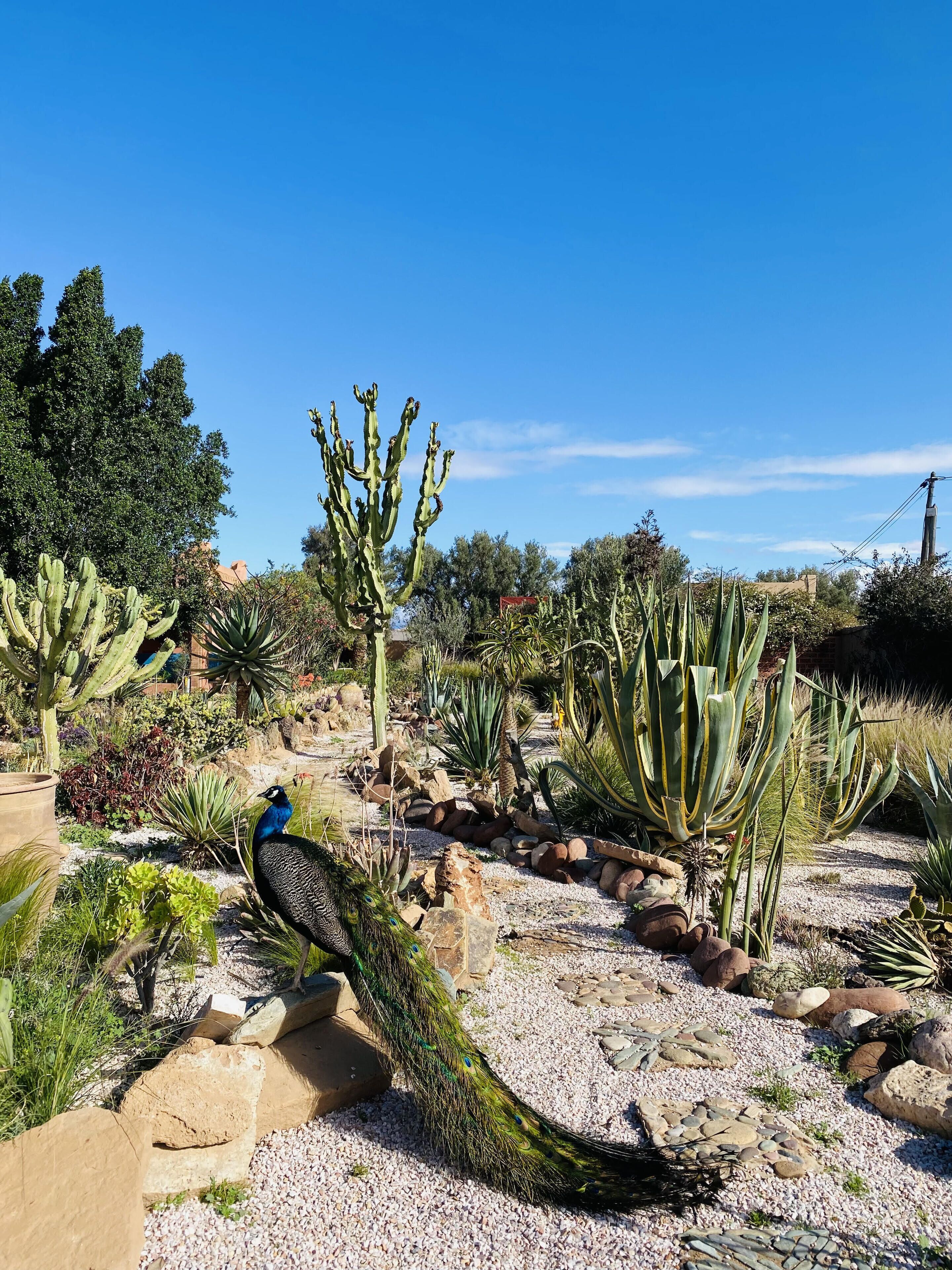 Terrein van de accommodatie