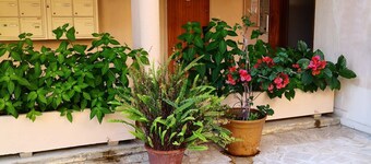 Quiet town center, sea view, private parking, 250 m from the beach