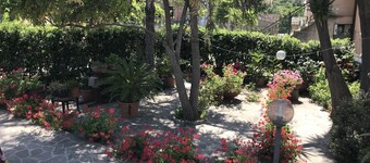 In the countryside near the sea