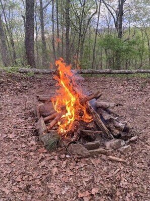 Sit by a crackling campfire in the heart of the forest.
