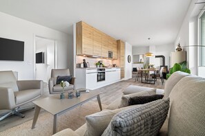 电视、壁炉、立体声音响