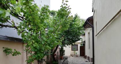 Arthouse Lucrezia Room nr. 4
