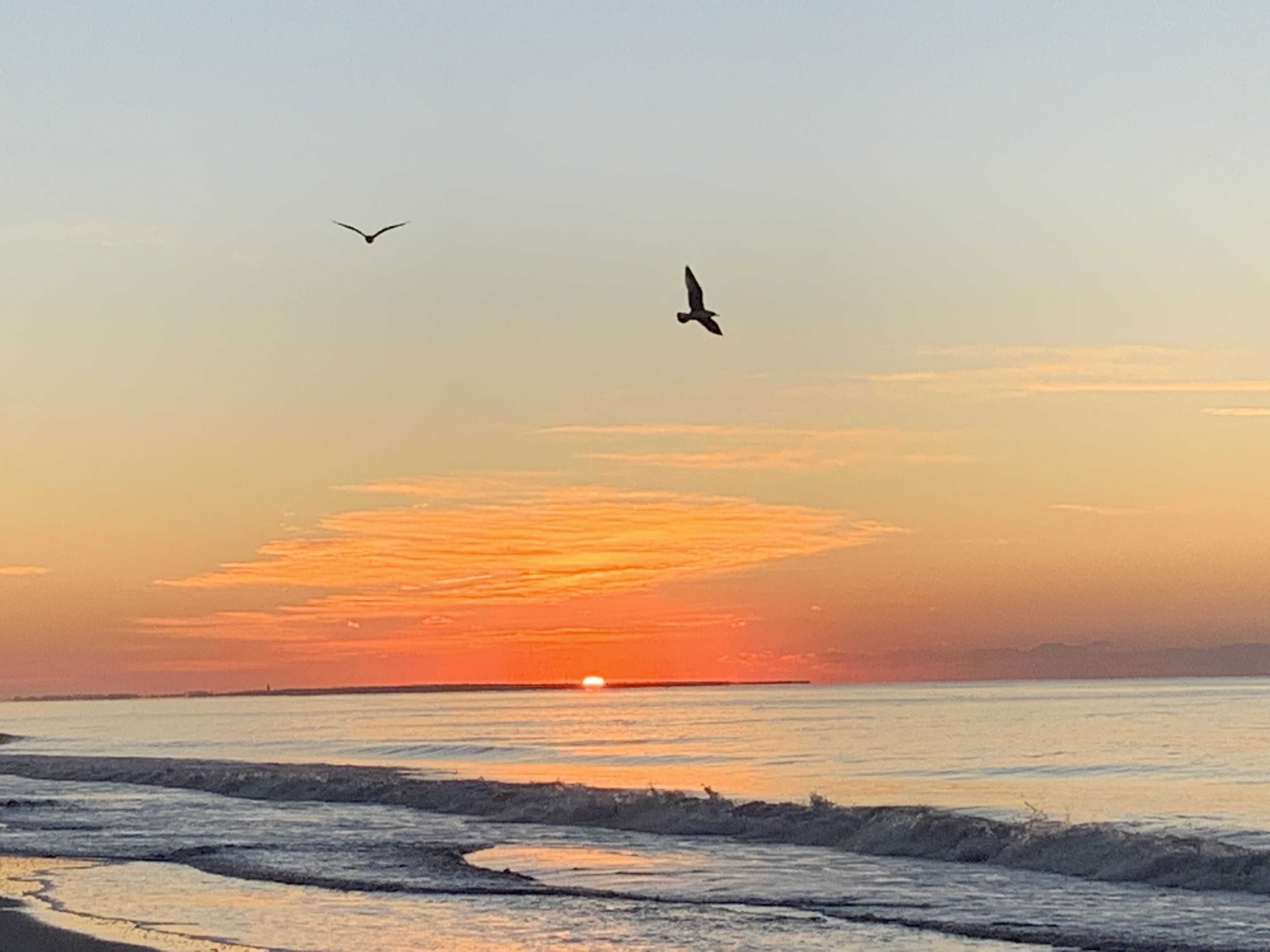 A sunset over a beach with waves and two birds flying.