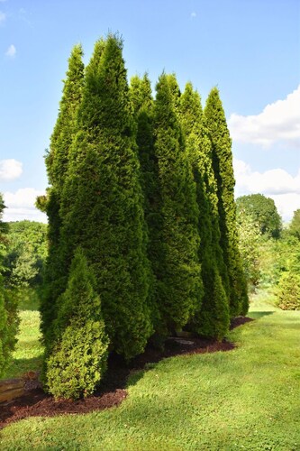 Serene 2BR: Near-Town Convenience Meets Nature Getaway, Ideal for All Travelers