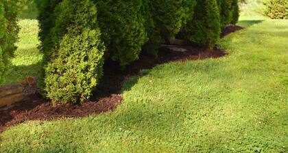 Serene 2BR: Near-Town Convenience Meets Nature Getaway, Ideal for All Travelers