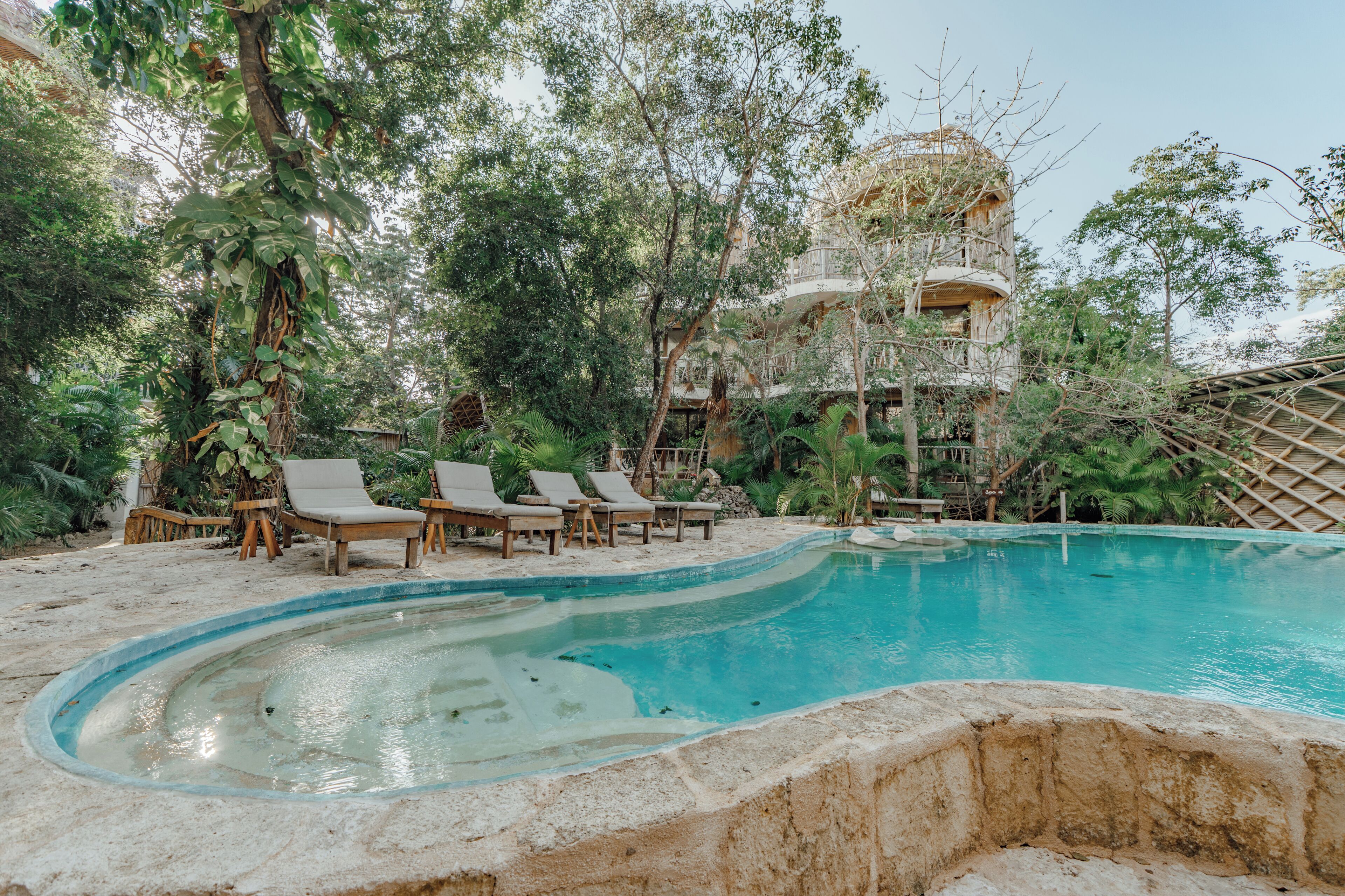 Una piscina con sillones de descanso, rodeada de exuberante vegetación y un gran árbol.