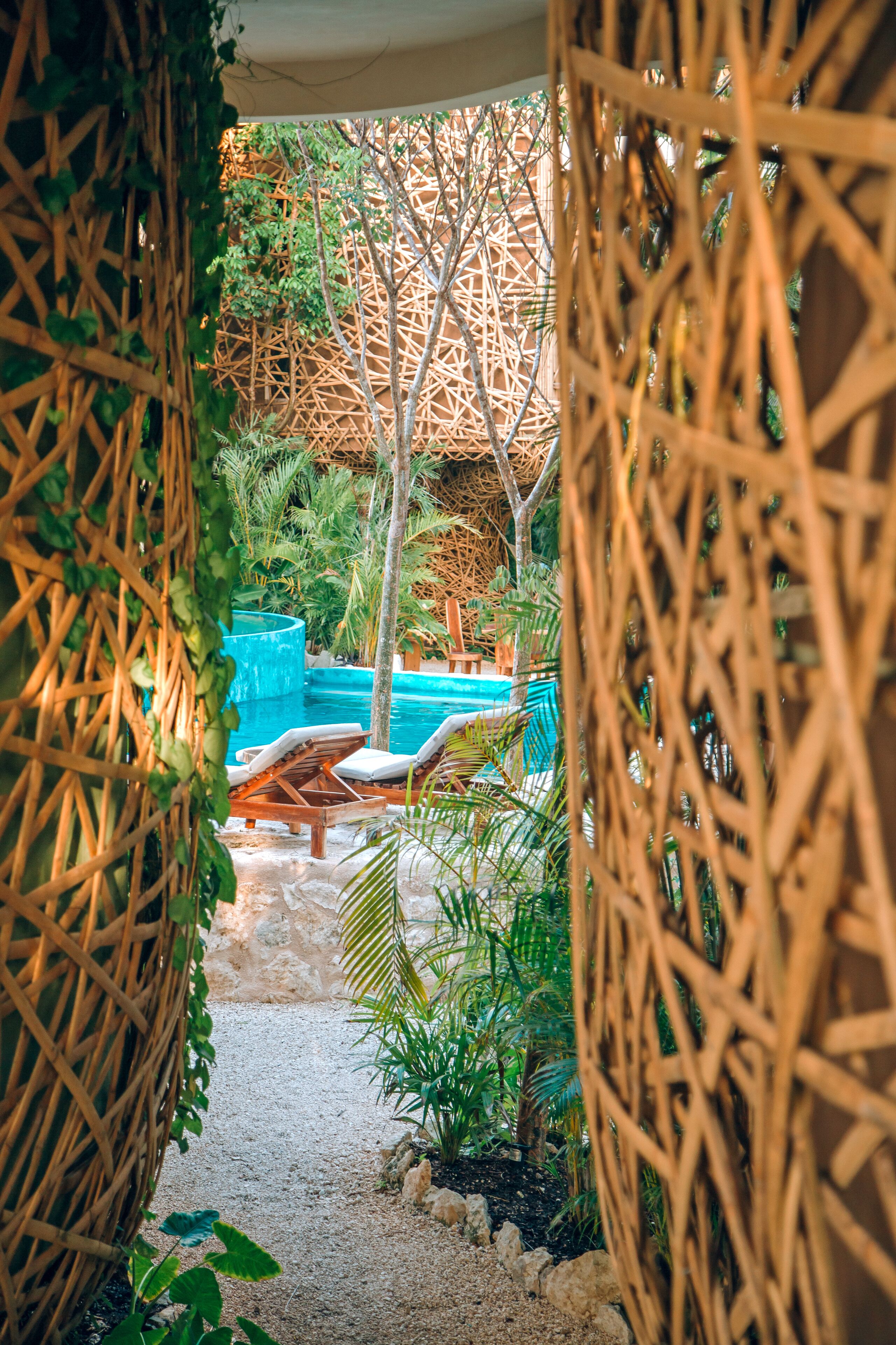 Un espace piscine avec des chaises longues et une piscine bleue, entouré de verdure et d’une clôture en osier.