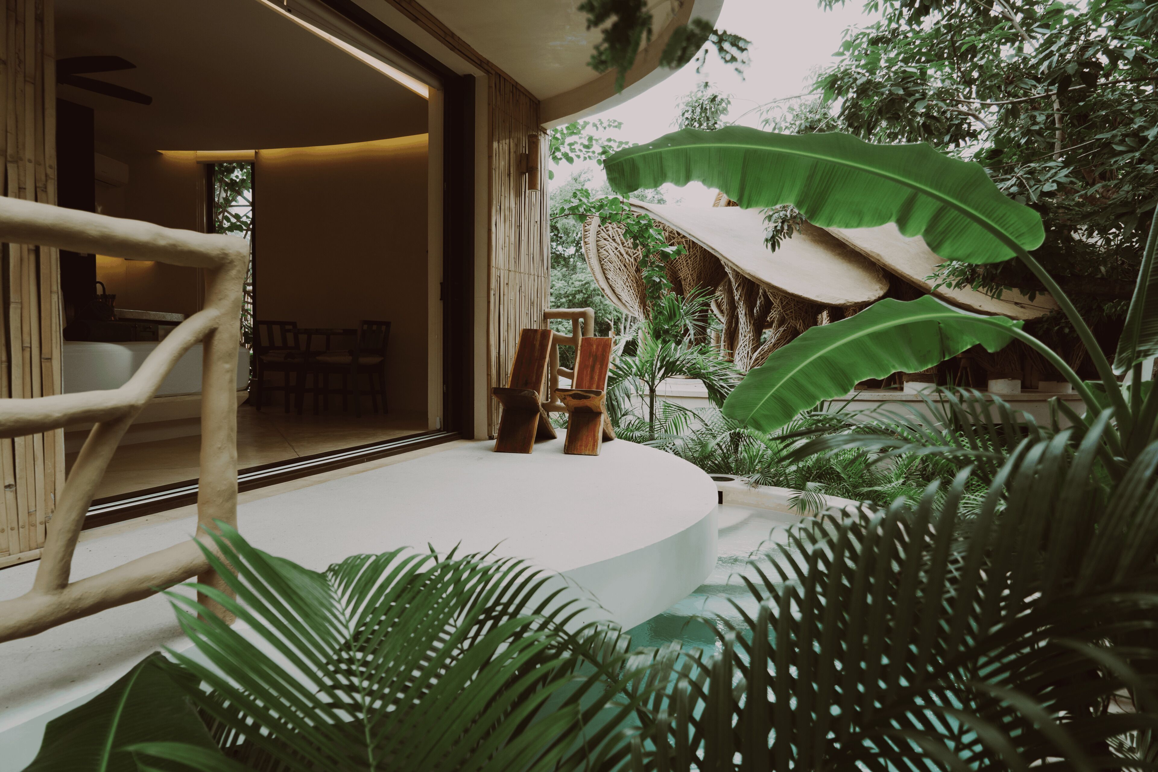 A circular seating area with chairs and a table, surrounded by lush greenery and large leaves.