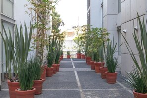 Área da propriedade