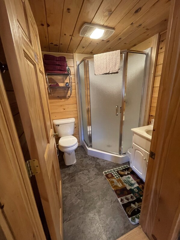 Baño pequeño con ducha, inodoro y lavabo, paredes de madera y alfombra estampada.